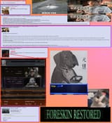 doggod2