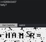HAM SR