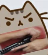 pusheengun
