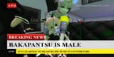 1337 and Pan
