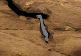 Sandtrouting-Spice-Search
