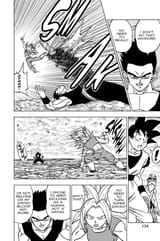 DBS_39_6