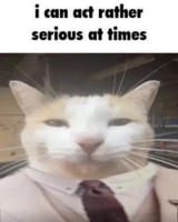 1743828950806421