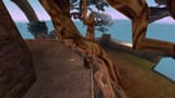 BigCatch