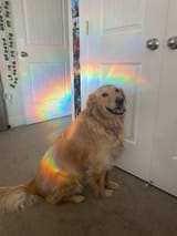 1732878843174286