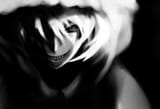ran