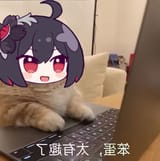 seelecat posting