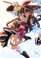 5483712_524786_birdblitz_reimu.1e3e9a1899e78681fd9a452dbe738707