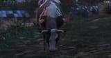 milkies