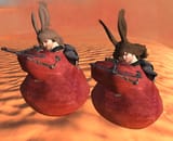 correct_viera