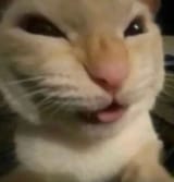 1749432700177570
