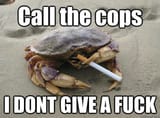 Smoking+crab+gang_2eb79f_7961057