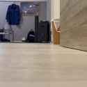 1930571110359486910-01-TweetsOfHamster_thumb.jpg