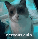 1741224143474400