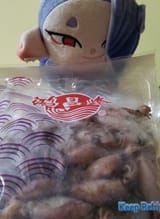 squid