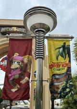 IMG_0534