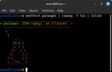 Screenshot from 2025-06-11 20-43-47
