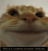 1749689367305597