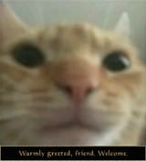 1654777945165