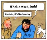 whataweek