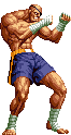 sagat-snk-stand