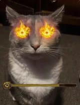 1737348771603298