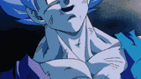 Shattered Goku