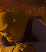 shrek-shrek-rizz