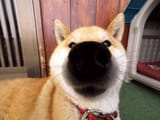 1598837311410