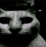 1749405432244974