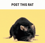 1667411419909545