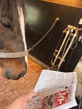 Gimlet bets on the fortnite newgens