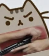 765778678