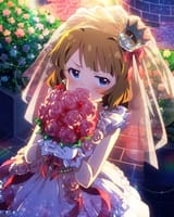 恥じらいローズブライド 周防桃子