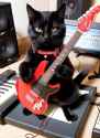 guitarcat_thumb.jpg