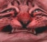 1673378811300919