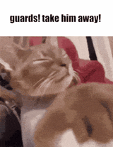 take him away