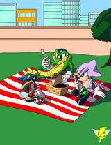 Chaotix Picnic v2