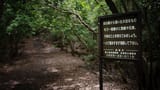 aokigahara_suicide_prevention