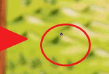 1644614568453
