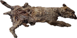 corp_dog