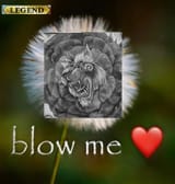 botanical flower (RUSH)