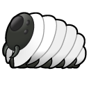 Centipede