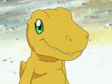 Agumon01