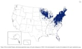 lyme disease