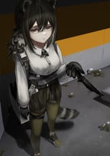 robin 18