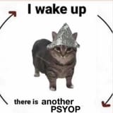 1732371246613458