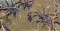 buggy kusoge_thumb.jpg