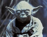 Yoda
