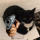 cot